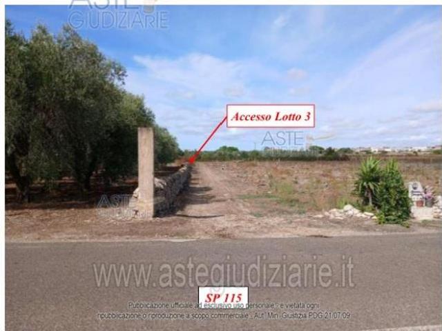 IMMOBILI ALTRA CATEGORIA 74020 Lizzano TA, Italia