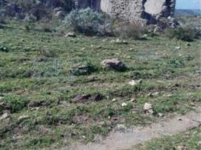 IMMOBILI ALTRA CATEGORIA c.da Valentino Poggio Spiga c.da Valentino Camuti
