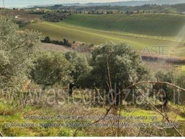 IMMOBILI ALTRA CATEGORIA C.da Colleionne, Pianella PE