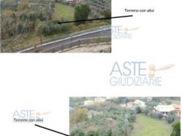 IMMOBILI ALTRA CATEGORIA Comune di Miglianico