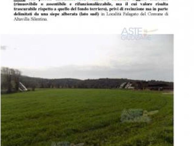 IMMOBILI ALTRA CATEGORIA Contrada Falagato, 84045 Altavilla Silentina SA, Italia