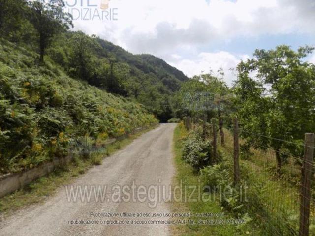 IMMOBILI ALTRA CATEGORIA calit San Totaro Valle del Cerasuolo