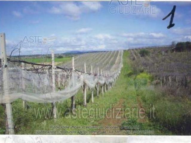 IMMOBILI ALTRA CATEGORIA GRANIERI