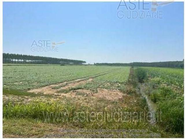 IMMOBILI ALTRA CATEGORIA Strada Barchessa, 46039 Barchessa MN, Italia