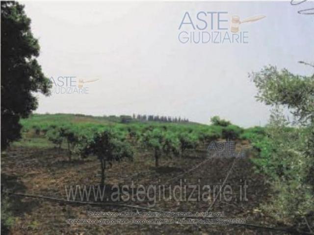 IMMOBILI ALTRA CATEGORIA Regione Agraria n.6, zona denominata Colline Litoranee di Paterno'