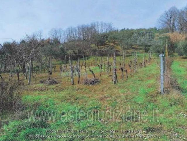 IMMOBILI ALTRA CATEGORIA Via Monte Taverna