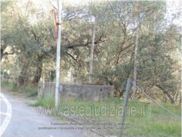 IMMOBILI ALTRA CATEGORIA Via Crosin del Diavolo Strada Vicinale