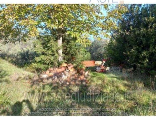 IMMOBILI ALTRA CATEGORIA Via Fissa o Madonnone, 51039 Quarrata PT, Italia