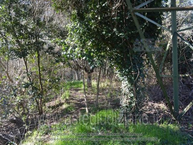 IMMOBILI ALTRA CATEGORIA Via Pianette, 55041 Camaiore LU, Italia