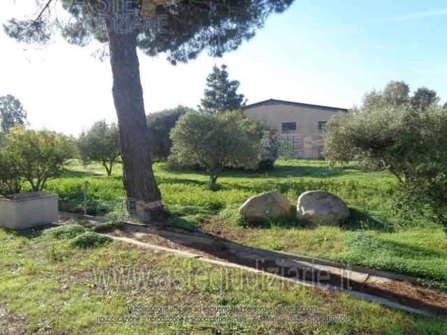 IMMOBILI IMMOBILE COMMERCIALE Localit Is Buttegheddas