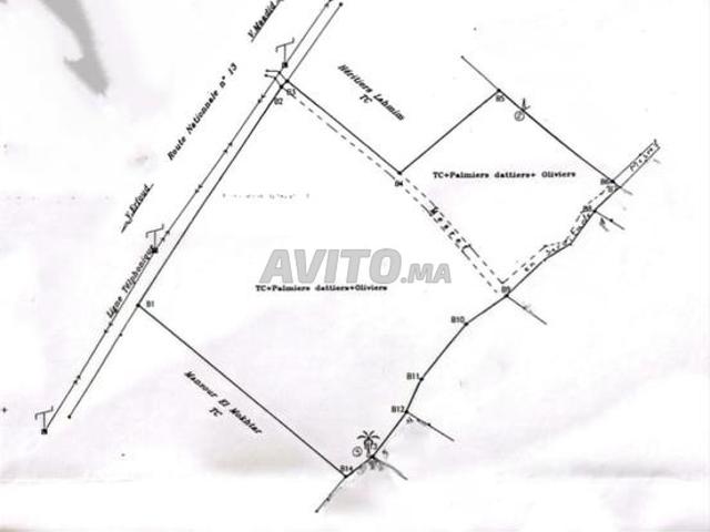 Immobilier Erfoud