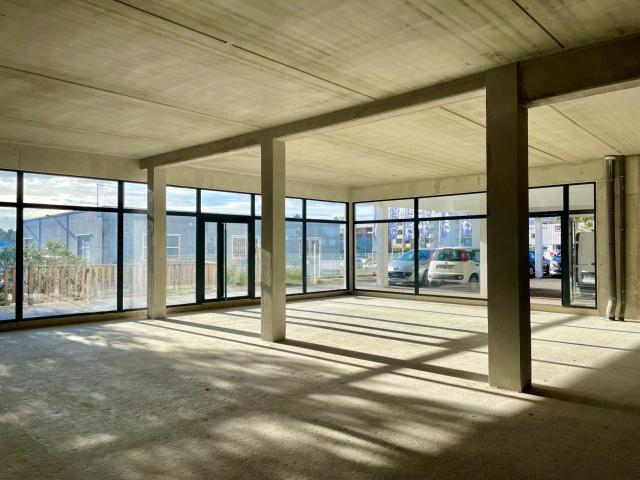 Immobilier Professionnel à vendre Lattes 306m² Lattes