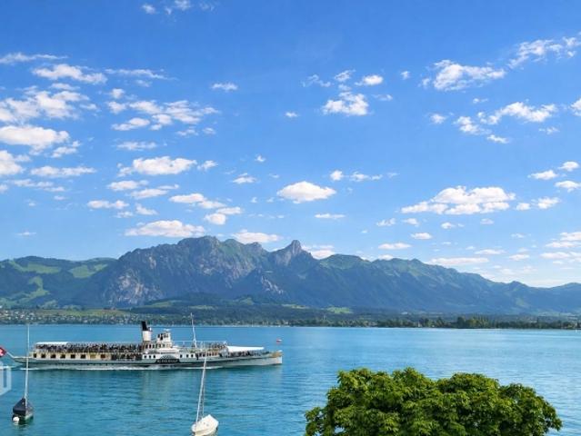 ImmoWyss 1'113 m2 Bauland am Thunersee – für exklusive Wohnträume