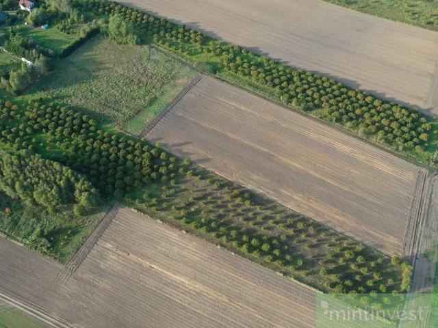Imno, 1 107 m2