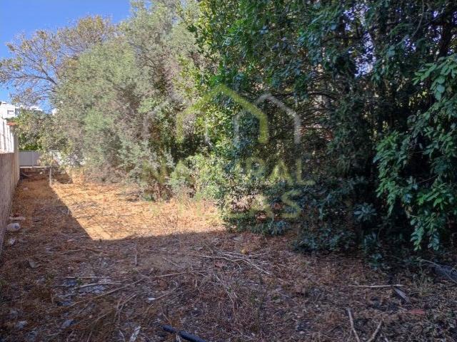 Imóvel com Projeto para Novos Apartamentos, Loulé