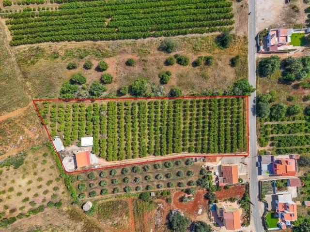 Imóvel Sem Licença De Habitação no momento, pedido em curso. 74m² Silves