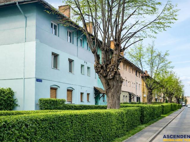 Imobil cu gradina verde, in ariere placuta, facilitati, Tractorul, Brasov