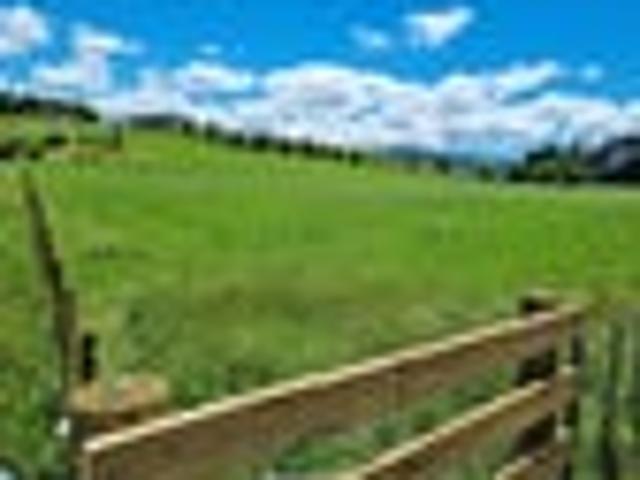 Imagine Yourselves Here On 1.5 ha
