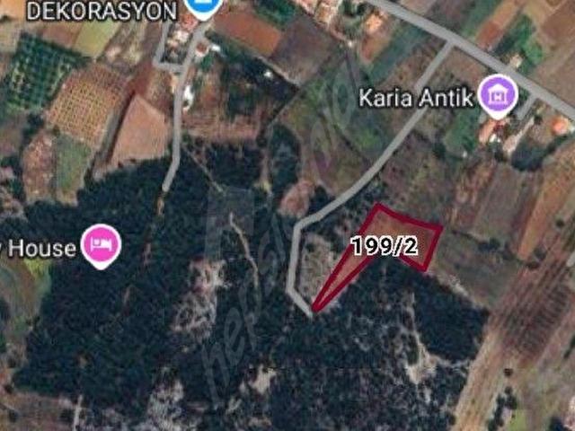 imara komşu 4820 m2 Tarla