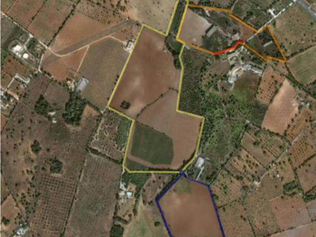 Impresionantes fincas cerca de Llucmajor