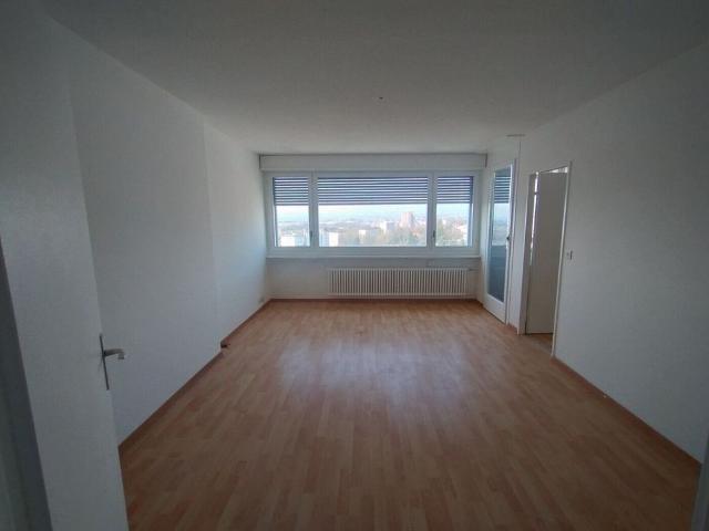 In the center of Malley splendid renovated apartment with balcony and view