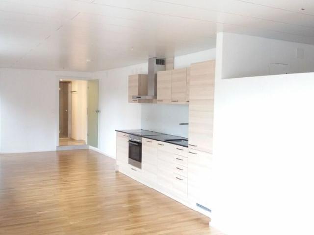 In the beautiful and friendly village of Diessbach near Büren near Lyss we have the following apartment for rent: 55m2 loft style, 2.5 room ground floor apartment with garden