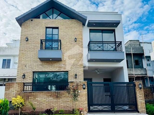 In D 12 House Sized 4.44 Marla For Rent