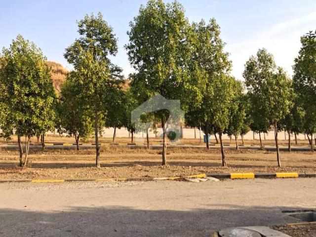 In DHA Valley Lilly Sector Plot File For Sale Sized 5 Marla