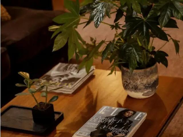 in medehuur Huis gemengd gebruik Antwerpen