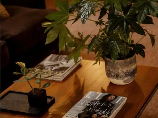 in medehuur Huis gemengd gebruik Antwerpen