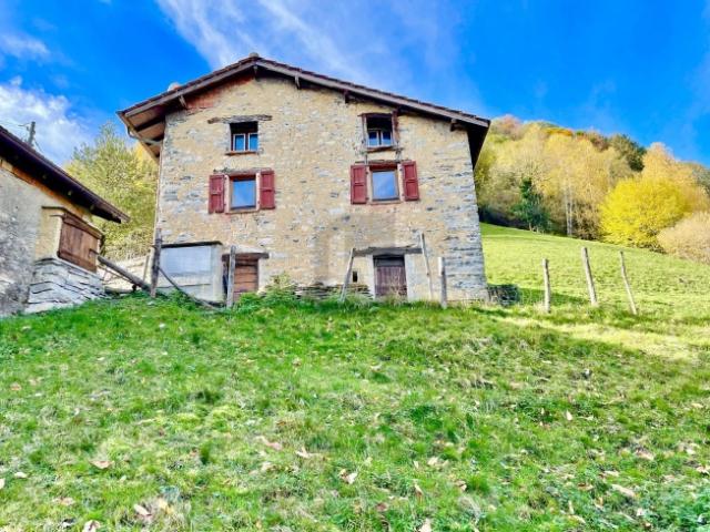 IN MEZZO AL VERDE