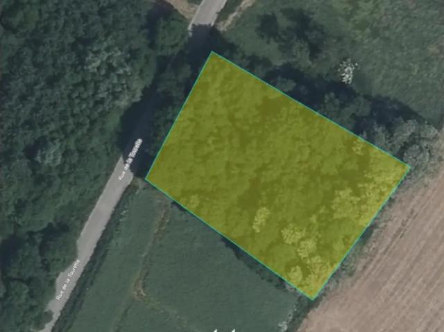 in openbare verkoop Landbouwgrond Saint Remy Geest