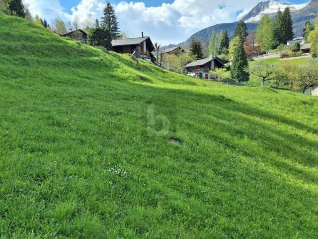IN POSIZIONE TRANQUILLA E SOLEGGIATA CON VISTA