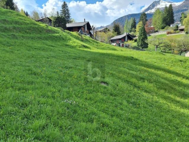 IN POSIZIONE TRANQUILLA E SOLEGGIATA CON VISTA