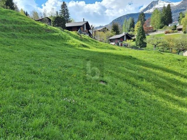 IN RUHIGER UND SONNIGER LAGE MIT AUSSICHT