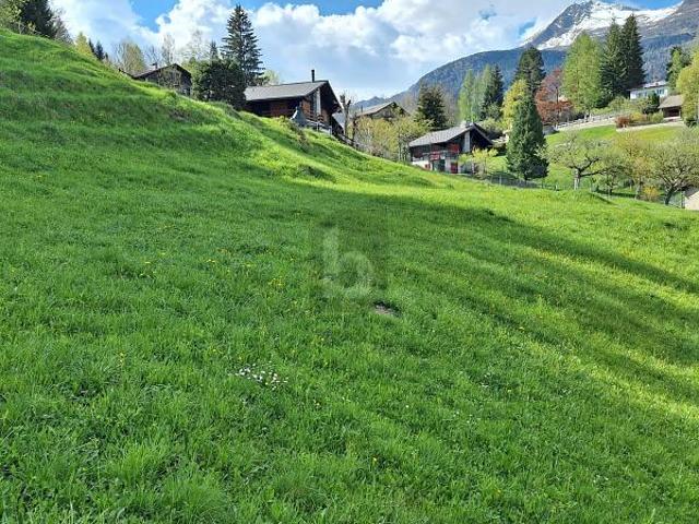 IN RUHIGER UND SONNIGER LAGE MIT AUSSICHT