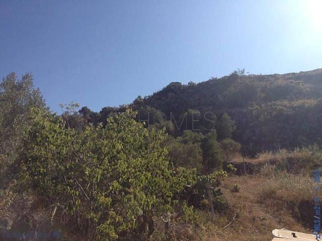 Actividad/Licencia en Venta en Torrox