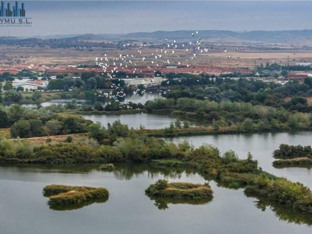Inmueble en Venta en Velilla de San Antonio