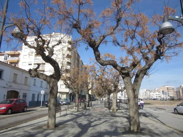 Inmueble en Venta en Vinaròs