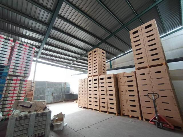 Inmueble en Venta en Villaconejos