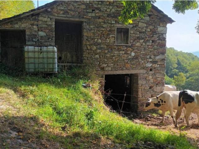 Inmueble en Venta en Villayón