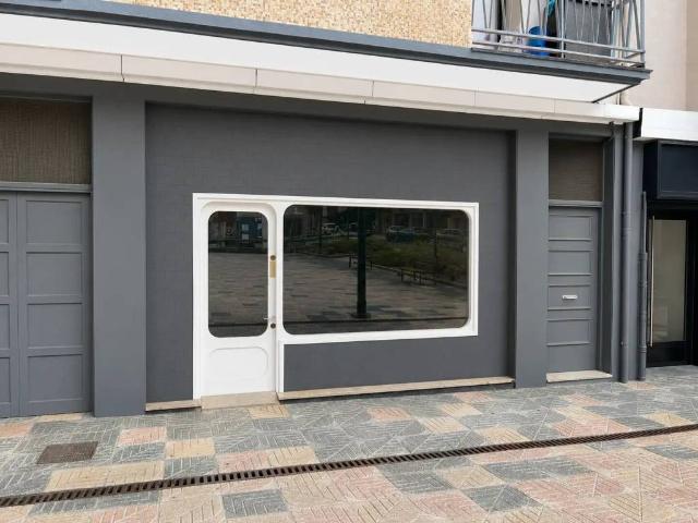 Inmueble en Venta en Zumarraga
