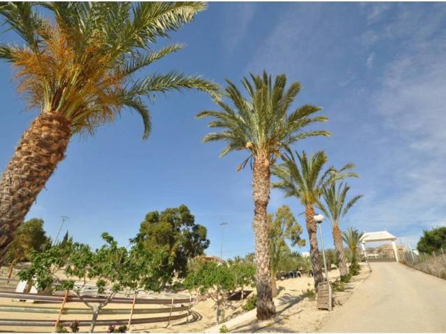 Inmueble en Venta en Abanilla