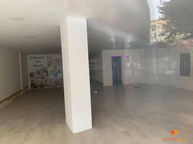 Inmueble en Venta en Almendralejo