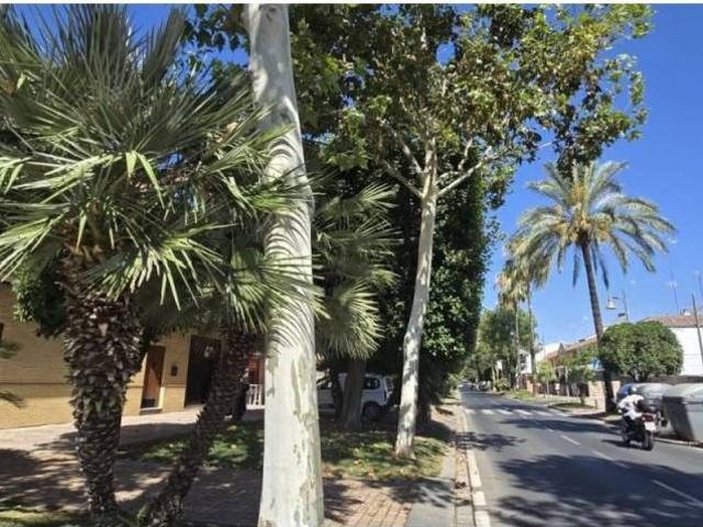 Inmueble en Venta en Alcalá de Guadaíra