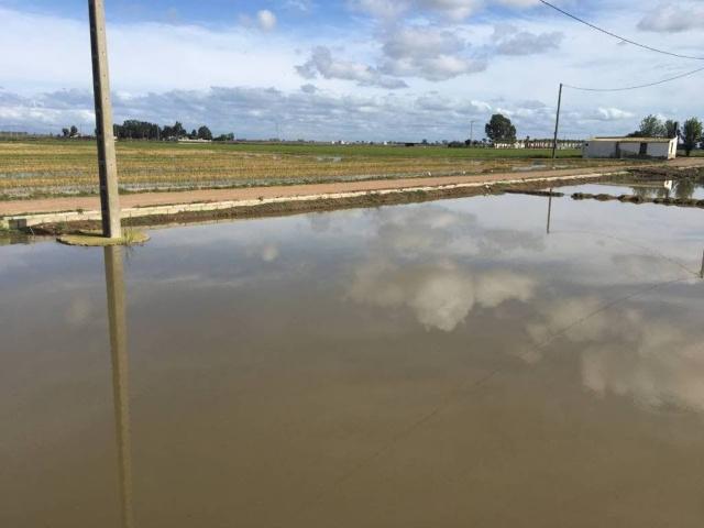 Inmueble en Venta en Amposta