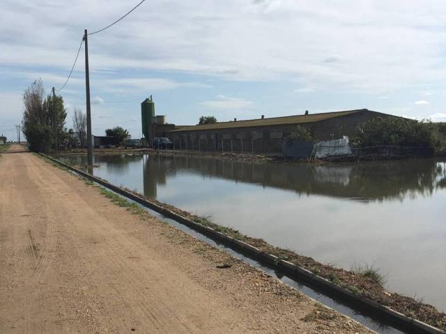 Inmueble en Venta en Amposta