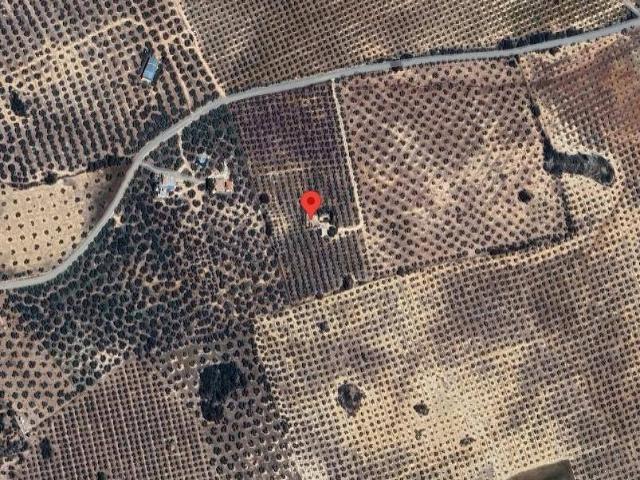 Inmueble en Venta en Antequera