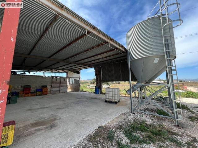 Inmueble en Venta en Aspe