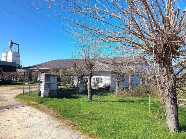 Inmueble en Venta en Arenas de San Pedro